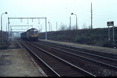 Boom-Krekelenberg - TH 80-1376.jpg